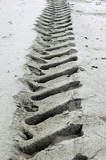 spore, strand, sand, Print, ride, natur, udendørs, ingen mennesker, mønster, høj vinkel visning, jord, dag, spor - aftryk, tæt på, fuld ramme, i en række, baggrunde, tekstureret, dækspor, selektiv fokusering, kreativitet, Kunst og håndværk, dæk, beton, hjul, 2K, CC0, offentligt domæne, royaltyfrie