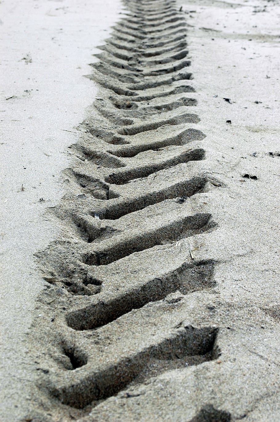 spore, strand, sand, Print, ride, natur, udendørs, ingen mennesker, mønster, høj vinkel visning, jord, dag, spor - aftryk, tæt på, fuld ramme, i en række, baggrunde, tekstureret, dækspor, selektiv fokusering, kreativitet, Kunst og håndværk, dæk, beton, hjul, 2K
