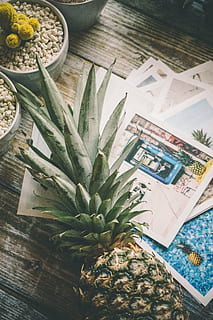 fructe de ananas, ananas, birou, lemn, masa, plat, suculent, rezervație pentru animale terestre, plantă, fruct, spațiu copie, cactuși, cactus, colorat, printuri, fotografii, hârtie, în interior, nici o persoana, vedere în unghi mare, natură moartă, a închide, artă și sculptură, reprezentare, publicare, mancare si bautura, fruct tropical, mâncat sănătos, natură, lemn - material, reprezentare umană, prospeţime, alimente, 5K, CC0, domeniu public, fără drepturi de autor