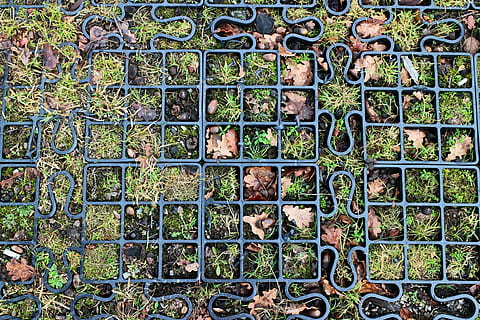 Modul, Aktie, Artikel, waschen, Mosaik-, Fotomosaik, Puzzle, Rasengitter, eilen, Gitter, Festsetzung, Bretter, Garten, Gartengestaltung, Design, gartendeko, Gartenarchitektur, Gartendekoration, unter Tage, Boden, Metall, keine Leute, Tag, Metallgitter, Hintergründe, Vollbild, Sicherheit, draußen, Muster, Schutz, Pflanze, Natur, Wachstum, rostig, grüne Farbe, große gruppe von gegenständen, Nahansicht, 4K, CC0, gemeinfrei, lizenzfrei