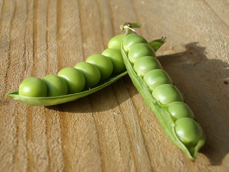 Due, verde, fagioli, Marrone, superficie, fagioli verdi, pisello, baccello, macro, verdure, vagina, cibo, raccolto, salutare, vegetariano, cucina, giardino, pianta, piante estive, crudo, fresco, agricoltura, legna, colore verde, natura, freschezza, biologico, avvicinamento, mangiare sano, maturo, verdura, legno - materiale, cibo e bevande, tavolo, natura morta, benessere, nessuno, in casa, vista dall'alto, pisello verde, seme, cibo crudo, gruppo di oggetti, frutta, giorno, 4K