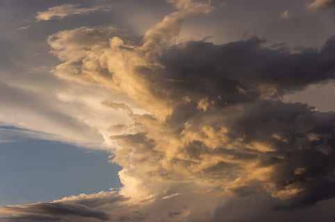 white, cloudy, sky, daytime, cloud, sunset, grey, golden, australia, cloud - sky, beauty in nature, cloudscape, scenics - nature, dramatic sky, nature, tranquility, storm, sunlight, no people, environment, overcast, idyllic, wind, outdoors, tranquil scene, low angle view, meteorology, climate, softness, 2K, CC0, public domain, royalty free