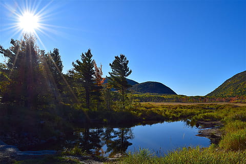des arbres, Soleil, étang, réflexion, la nature, paysage, eau, ciel, bleu, forêt, scénique, de plein air, parc, vert, ensoleillé, vacances, l'automne, Naturel, Prairie, tomber, vallée, région sauvage, campagne, paysages - nature, rayon de soleil, Lac, plante, beauté dans la nature, tranquillité, scène tranquille, environnement, reflet, arbre, Montagne, lumière du soleil, personne, en plein air, brillant, agression, 4K, CC0, domaine public, libre de droits