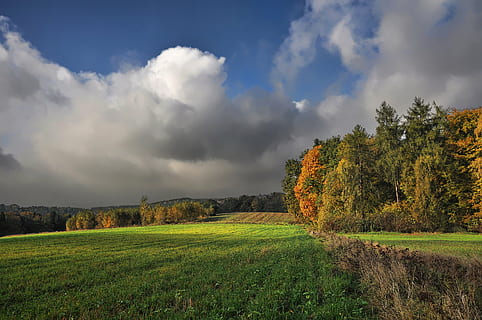 bilde, grønn, gressfelt, landskap, natur, skyer, skog, Polen, utsikt, belysning, sky - himmel, anlegg, himmel, tre, skjønnhet i naturen, miljø, felt, naturskjønnhet - natur, rolig scene, ro, land, gress, grønn farge, vekst, ingen folk, ikke-urbane scene, landlige scene, utendørs, illevarslende, 4K, CC0, offentlig domene, opphavsrett gratis