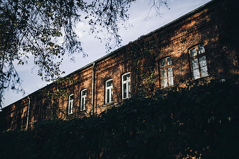 edificis de maons, vell, maons, edificis, lodz, Polònia, a l'aire lliure, arquitectura, ciutat, urbà, edifici, abandonat, exterior de l'edifici, estructura construïda, finestra, arquitectura i edificis, maó, cap gent, casa, arbre, planta, vista d’angle baix, naturalesa, cel, dia, obsoleta, aixafar, creixement, resistent, espatllat, deteriorament, arruïnat, 5K
