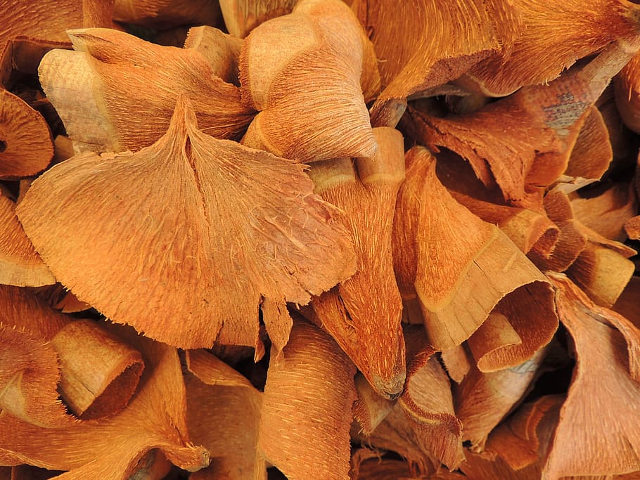 gingko, hoja, seco, marrón, naturaleza, comida, de cerca, macro, antecedentes, comida y bebida, orgánico, amarillo, nadie, fotograma completo, frescura, abundancia, parte de la planta, día, gran grupo de objetos, fragilidad, vulnerabilidad, color naranja, belleza en la naturaleza, otoño, hojas, al aire libre, cambio, condición natural, 4K
