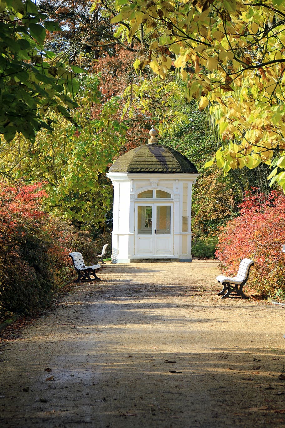 způsob, cesta, park, pavilon, podzim, strom, stromy, banka, lavičky, venku, architektura, rostlina, Příroda, stavba, zvíře, zvířat, den, obratlovců, nikdo, exteriér budovy, pták, jednoho zvířete, růst, budova, zvířata ve volné přírodě, silnice, změna, 5K