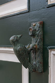architettura, finestra, vecchio, costruzione, battiporta, porta, bronzo, nessuno, animale, giorno, temi animali, arte e artigianato, metallo, rappresentazione, avvicinamento, fauna selvatica, concentrarsi sulle conoscenze acquisite, creatività, scultura, mestiere, un animale, rappresentazione animale, vertebrato, all'aperto, animali allo stato selvatico, uccello, testa di animale, 5K, CC0, dominio pubblico, privo di copyright
