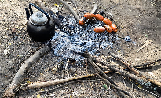 te, lena, foc, flames, foguera, calor, llenya cremada, brases, tronc, deliciós, menjar, tallar llenya, calenta, fauna animal, a l'aire lliure, temes d'animals, cap gent, dia, animals a la natura, vista d’angle alt, material de fusta, naturalesa, animal, menjar i beguda, terra, registre, calor - temperatura, preparació, fusta, grup d’animals, carn, sòl, 2K, CC0, domini públic, lliure de regalies