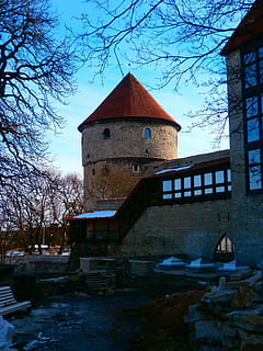 Torre, rosso, vecchio, parete, città vecchia, Tallinn, Estonia, struttura costruita, architettura, albero, esterno dell'edificio, pianta, cielo, natura, albero nudo, costruzione, nessuno, giorno, all'aperto, luogo di culto, credenza, religione, blu, Inquadratura dal basso, abbandonato, 4K, CC0, dominio pubblico, privo di copyright