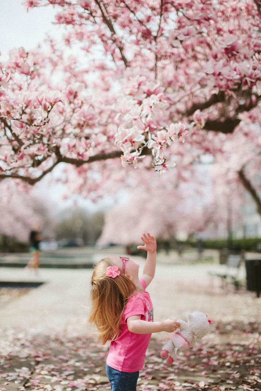 Mädchen, Kirsche, blühen, Baum, Kirschblütenbaum, pinke Farbe, Kirschblüte, Blume, draußen, Natur, Frühling, Frau, Menschen, Blütenkopf, kaukasischer Abstammung, Japan, Kirschbaum, eine Person, blühende Pflanze, Pflanze, echte Menschen, Schönheit in der Natur, Frische, Zerbrechlichkeit, Tag, Wachstum, Fokus auf den Vordergrund, Park, Frisur, 5K
