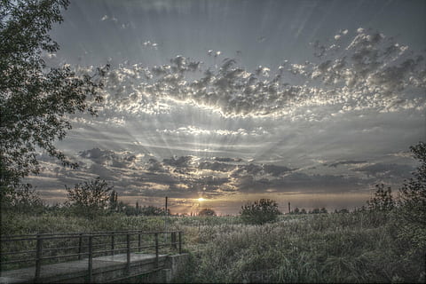 green, field, sun, set, illustration, hdr, clouds, landscape, sky, dramatic, mood, drama, twilight, nature, sunset, dusk, cloud - Sky, outdoors, scenics, tree, plant, beauty in nature, tranquility, tranquil scene, scenics - nature, no people, sunbeam, environment, land, sunlight, barrier, 2K, CC0, public domain, royalty free