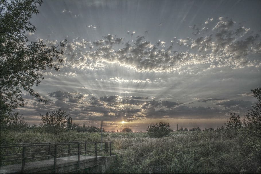 verd, camp, sol, conjunt, il·lustració, hdr, núvols, paisatge, cel, dramàtica, humor, drama, crepuscle, naturalesa, posta de sol, vespre, núvol - cel, a l'aire lliure, escenics, arbre, planta, bellesa a la natura, tranquil·litat, escena tranquil·la, escenics - natura, cap gent, raig de sol, medi ambient, terra, llum solar, barrera, 2K