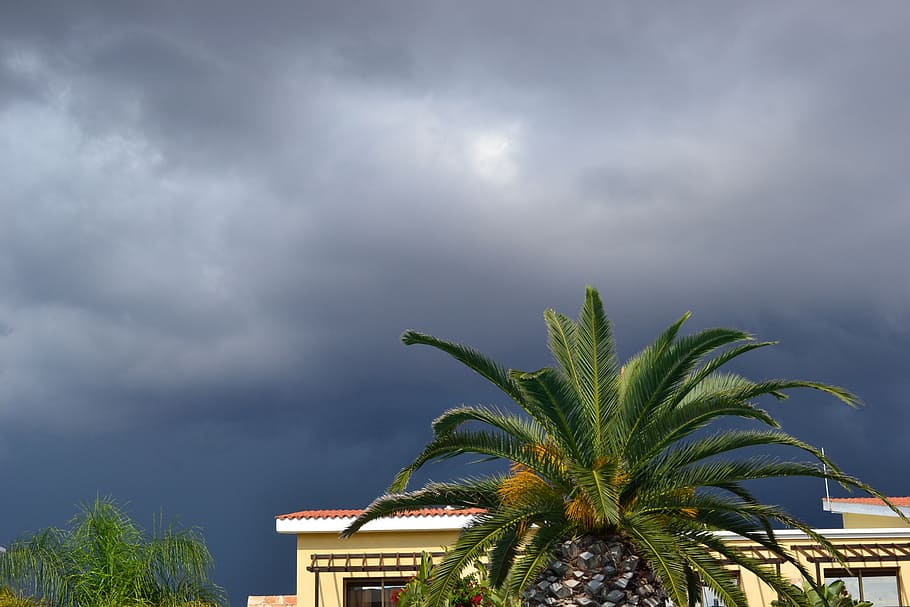 temporale, nube, cielo, cielo grigio, cielo tempestoso, Palma, blu, clima tropicale, nuvola - cielo, albero, pianta, natura, esterno dell'edificio, nessuno, tempesta, architettura, all'aperto, nuvola temporalesca, struttura costruita, cibo e bevande, palma da dattero, nuvoloso, foglia, albero tropicale, infausto, 2K