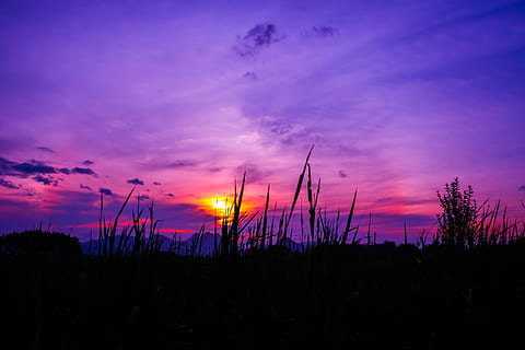 erba sotto il cielo, crepuscolo, arcobaleno, campo, tramonto, silhouette, cielo, bellezza nella natura, nuvola - cielo, scena tranquilla, scenics - natura, la tranquillità, cielo drammatico, nessuno, natura, idilliaco, pianta, colore arancione, scena non urbana, all'aperto, albero, soggezione, buio, viola, cielo romantico, 4K, CC0, dominio pubblico, privo di copyright
