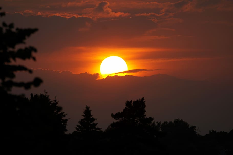 siluet, ağaçlar, soluk, Akşam gökyüzü, gün batımı, Güneş, Batan güneş, bulutlar, abendstimmung, altın, ışık, ateştopu, doğa, gökyüzü, akşam Güneşi, turuncu gökyüzü, manzaralar - doğa, doğada güzellik, huzur, sakin sahne, ağaç, bitki, bulut - gökyüzü, pastoral, kentsel olmayan sahne, insansız, turuncu renk, çevre, Güneş ışığı, açık havada, dağ, astronomi, tutulma, 5K