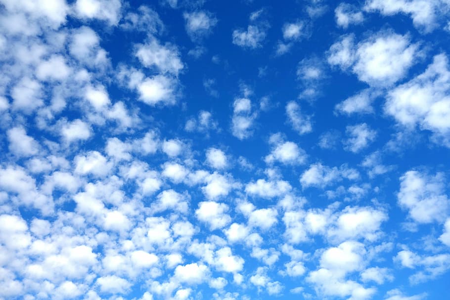 himmel, skyer, schäfchen, blå, baggrunde, sky - himmel, tekstureret, Stærkt oplyst, sløret, abstrakt, jul, ingen mennesker, lav vinkel visning, skønhed i naturen, scenics - natur, natur, dag, hvid farve, ro, fuld ramme, udendørs, sollys, rolig scene, idyllisk, cloudscape, meteorologi, ren, 5K