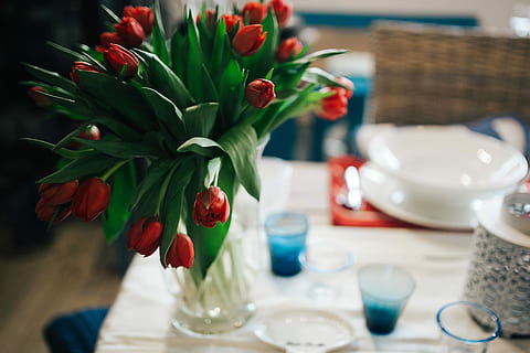 table decorations, red, flowers, Table, decorations, lunch, dinner, decor, glasses, candle, plates, decoration, plate, silverware, crockery, napkin, restaurant, dining, arrangement, elegance, banquet, no People, tablecloth, place Setting, indoors, food, celebration, arranging, vase, drinking glass, christmas, flower, flowering plant, plant, freshness, household equipment, food and drink, nature, glass, focus on foreground, cup, drink, setting, kitchen utensil, tulip, flower arrangement, flower head, 2K