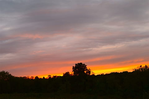 solnedgang, himmel, trær, silhouette, natur, sol, landskap, skyer, sommer, blå, lys, sollys, oransje, kveld, utendørs, horisont, skumring, scenisk, rød, farge, naturlig, fargerik, dramatisk, landlig, felt, levende, mørk, tre, skjønnhet i naturen, sky - himmel, naturskjønnhet - natur, rolig scene, ro, anlegg, oransje farge, ikke-urbane scene, miljø, ingen folk, idylliske, vekst, land, romantisk himmel, 4K