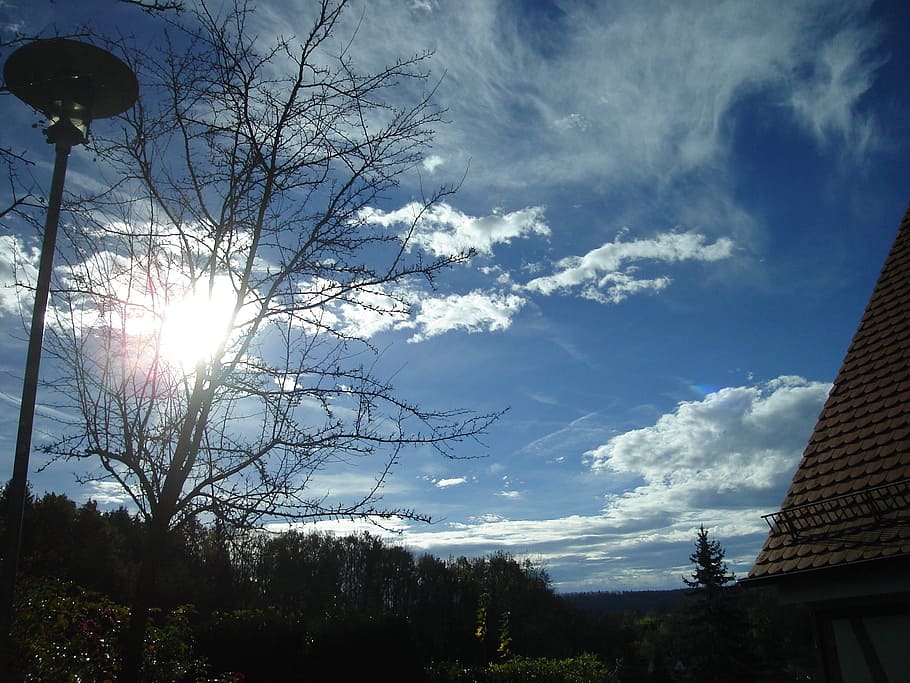 sol, himmel, efterår, skyer, smuk, Busk, solstråle, stemning, træ, plante, sky - himmel, natur, sollys, skønhed i naturen, ingen mennesker, lav vinkel visning, ro, bygget struktur, bygning udvendig, silhuet, arkitektur, dag, scenics - natur, rolig scene, udendørs, linseflare, 1080P