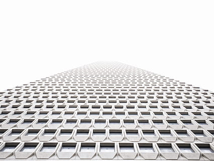 optical illusion, low, angle photography, high-rise, building, closeup photography, loop, architecture, texture, window, infinity, backgrounds, built Structure, abstract, pattern, large group of objects, no people, stadium, close-up, building exterior, clear sky, sky, low angle view, day, office building exterior, copy space, in a row, tall - high, city, travel destinations, repetition, nature, design, modern, outdoors, skyscraper, 4K, CC0, public domain, royalty free