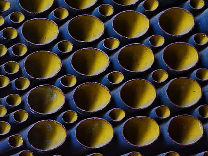 abstraktní, potrubí, vlak, kotel, celý rám, pozadí, kruh, nikdo, geometrický tvar, žlutá, detail, tvar, velká skupina objektů, uvnitř, stálý život, jídlo a pití, v řadě, uspořádání, opakování, jídlo, design, vzor, hojnost, Zdravé stravování, 1080P, CC0, veřejná doména, bez autorských práv
