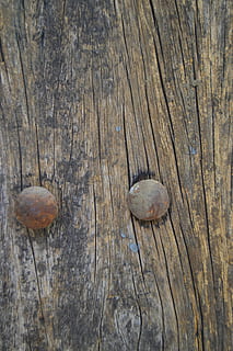 fusta, fosc, construcció, patró, marró, rústic, negre, vell, superfície, macro, fons, material, objecte, ungles, horitzontal, natural, frontal, rovellat, efecte, ningú, tauler, aspre, desigual, obsoleta, xip, fusta dura, panell, esquerdat, resistent, material de fusta, primer pla, cap gent, a l'aire lliure, textura, dia, naturalesa, temes d'animals, marc complet, vista d’angle alt, patró natural, bolets, arbre, escorça, 5K, CC0, domini públic, lliure de regalies