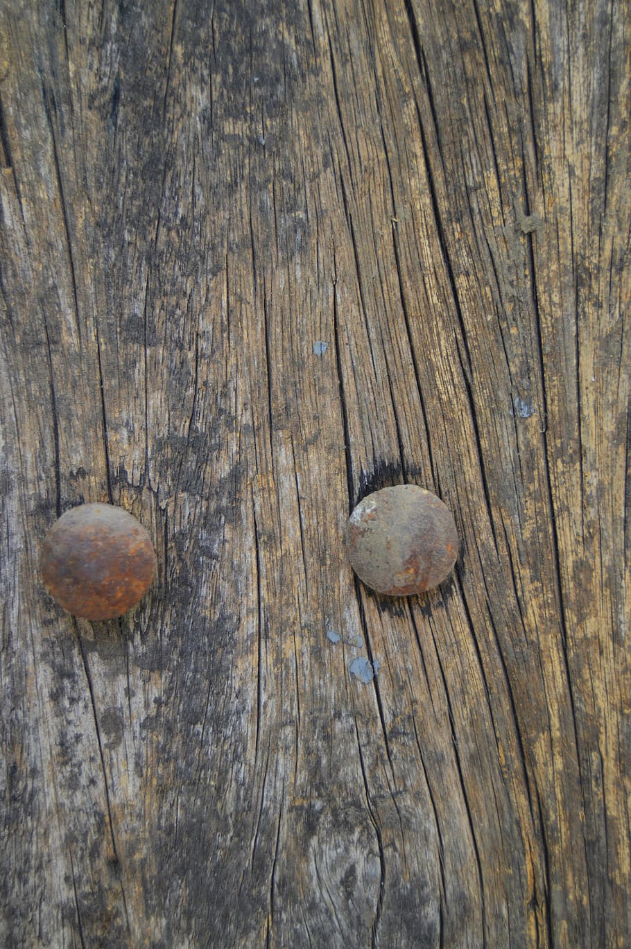 fusta, fosc, construcció, patró, marró, rústic, negre, vell, superfície, macro, fons, material, objecte, ungles, horitzontal, natural, frontal, rovellat, efecte, ningú, tauler, aspre, desigual, obsoleta, xip, fusta dura, panell, esquerdat, resistent, material de fusta, primer pla, cap gent, a l'aire lliure, textura, dia, naturalesa, temes d'animals, marc complet, vista d’angle alt, patró natural, bolets, arbre, escorça, 5K
