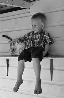 ragazzo, gatto, animale domestico, malizioso, contento, mensola, bianco e nero, lunghezza intera, infanzia, bambino, persone reali, domestico, una persona, animali domestici, un animale, ragazzi, mammifero, maschi, abbigliamento casual, vista frontale, stili di vita, innocenza, 4K, CC0, dominio pubblico, privo di copyright