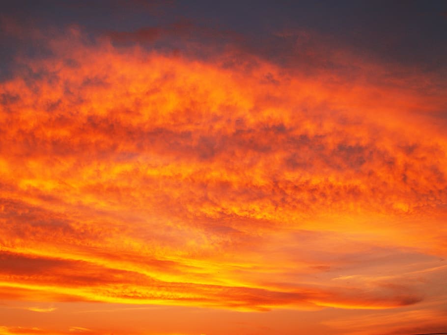 posta de sol, vermell, or, cel, vermell, or, vibrant, crepuscle, fons, llum solar, sol, fosc, raig de sol, tempesta, núvol, vista, sortida del sol, dia, dramàtica, horitzontal, groc, brillant, majestuós, nit, taronja, estiu, llum, estratosfera, vespre, esponjós, de colors, resum, meteorologia, clima, vent, color, temps, descriptiu, bellesa, a l'aire lliure, fum, alba, escena, bonic, espai, naturalesa, idíl·lic, calor, patró, cloudscape, núvol - cel, color taronja, escenics, bellesa a la natura, blau, sortida del sol - alba, cel dramàtic, color vibrant, calor - temperatura, cap gent, tranquil·litat, fons abstractes, escenics - natura, medi ambient, creativitat, marc complet, fons taronja, 2K
