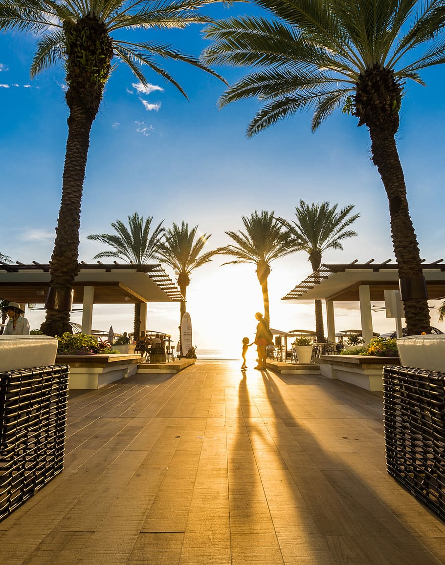 foto, dona, nen petit, de peu, verd, palmeres de fulles, clar, blau, cel, silueta, nen, palmeres de coco, arbre, Palmera, porta, clima tropical, planta, naturalesa, llum solar, arquitectura, persones reals, sendera, dia, activitat d'oci, persones incidentals, estils de vida, gent, a l'aire lliure, dones, homes, grup de persones, estructura construïda, piscina, 4K