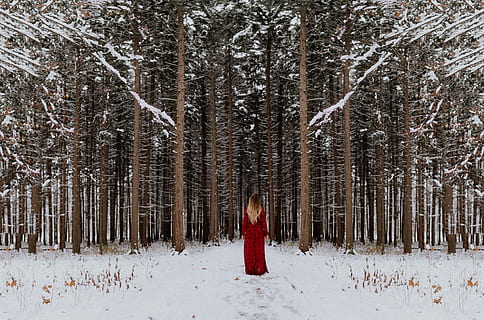 woman, standing, front, forest, photo, wearing, red, dress, walking, towards, tree, snow, winter, wood, cold, red dress, behind, back, hair, pine, cold temperature, land, plant, nature, clothing, woodland, one person, beauty in nature, non-urban scene, trunk, tree trunk, environment, warm clothing, scenics - nature, landscape, pine tree, coniferous tree, pine woodland, outdoors, snowing, hood - clothing, 8K, CC0, public domain, royalty free
