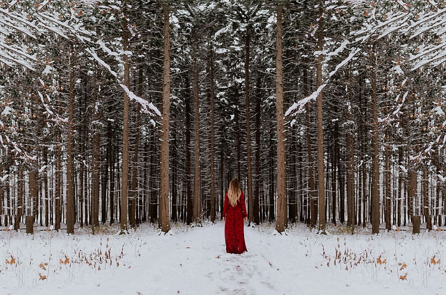 žena, stojící, přední, les, fotografie, nošení, Červené, šaty, chůze, vůči, strom, sníh, zimní, dřevo, Studený, červené šaty, za, zadní, vlasy, borovice, studená teplota, přistát, rostlina, Příroda, oblečení, jedna osoba, krása v přírodě, mimoměstské scény, kufr, kmen stromu, životní prostředí, teplé oblečení, scenics - příroda, krajina, jehličnatého stromu, borové lesy, venku, sněží, kapuce - oblečení, 8K