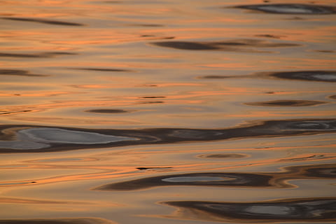 posta de sol, alba, aigua, reflexió, a l'aire lliure, vespre, sol, fosc, oceà, compostura, foc, tarda, naturalesa, cel, color taronja, cap gent, bellesa a la natura, núvol - cel, fons, escenics - natura, marc complet, tranquil·litat, mar, patró, escena tranquil·la, davant del mar, primer pla, 5K, CC0, domini públic, lliure de regalies