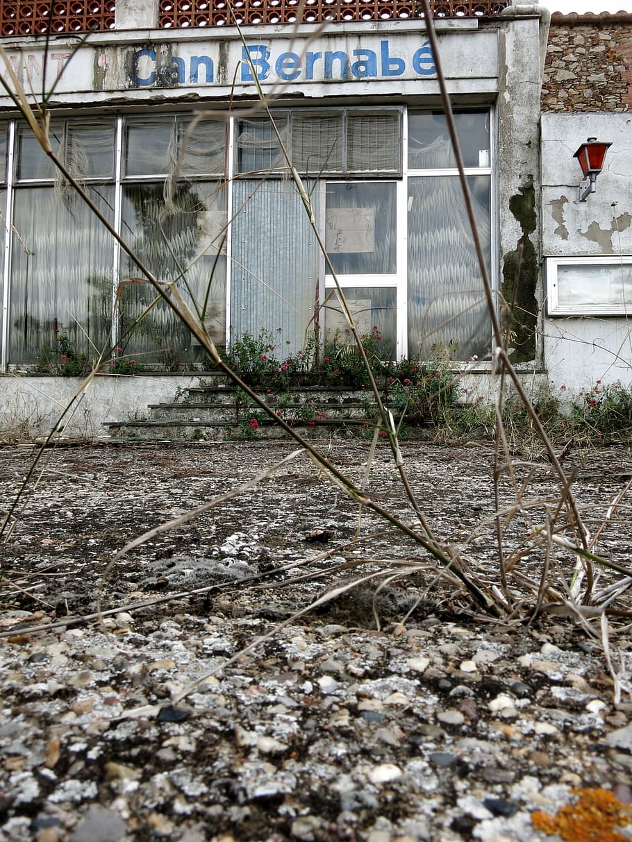 restaurace, rozpad, spustit dolů, starý, zapomenout, hnije, zřícenina, stavba, architektura, exteriér budovy, den, budova, Dům, nikdo, rostlina, Příroda, venku, zvětralý, dřevo - materiál, poškozen, opuštěný, přistát, nástěnný prvek, rezidenční čtvrti, pole, špatný stav, 4K