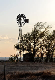 molí de vent, texas, posta de sol, cel, energia alternativa, energia renovable, conservació del medi ambient, generació de combustible i energia, medi ambient, aerogenerador, energia eòlica, turbina, planta, naturalesa, paisatge, cap gent, camp, vista d’angle baix, arbre, molí de vent tradicional, terra, escena rural, a l'aire lliure, 2K, CC0, domini públic, lliure de regalies