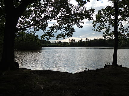 Teich, Aussicht, Bäume, Sträucher, Wasser, es reflektiert die Sonne, Baum, Pflanze, Ruhe, ruhige Szene, See, Himmel, Szenen - Natur, Schönheit in der Natur, Natur, wolke - himmel, Wachstum, keine Leute, Seeufer, Nicht-städtische Szene, Kofferraum, Baumstamm, Tag, Strand, draußen, 4K, CC0, gemeinfrei, lizenzfrei