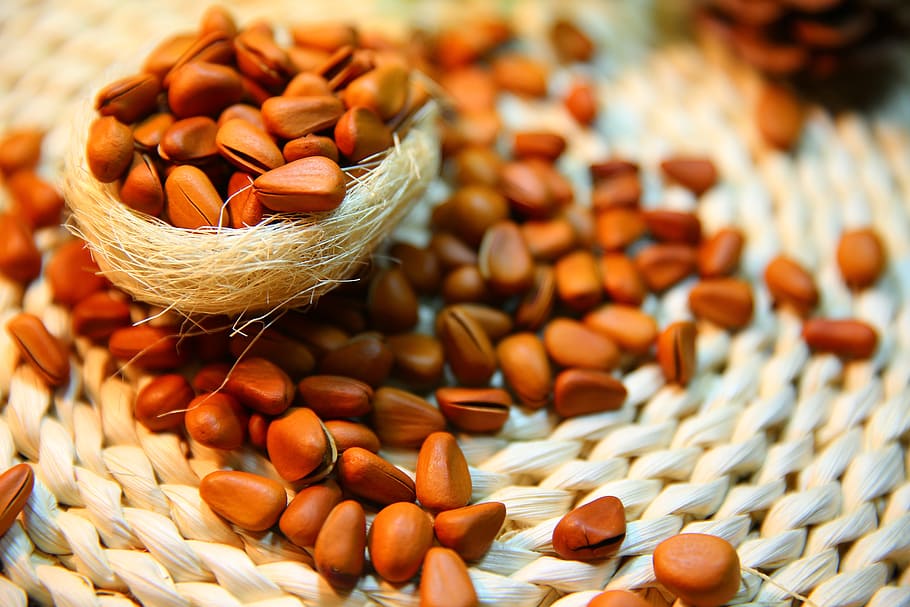mazzo, Marrone, noccioline, pinoli, Noce, proteina, cibo, cibo e bevande, cestino, mangiare sano, agricoltura, benessere, dado - cibo, raccolto, pianta di cereali, contenitore, freschezza, seme, avvicinamento, grande gruppo di oggetti, mais - coltura, frutta secca, mandorla, nessuno, spuntino, 5K