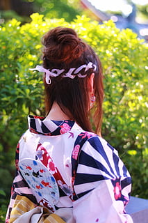 Frau, tragen, Weiß, Blau, Kimono, traditionell, Kleid, traditionelles Kleid, draußen, Menschen, Frauen, Japan, Japanische Kultur, eine Person, japanische ethnizität, Natur, Geisha, Sommer-, junger Erwachsener, Schönheit, Erwachsene, Rothaarige, Nur eine junge Frau, nur eine frau, nur für Erwachsene, nur Frauen, echte Menschen, Freizeitbeschäftigung, Lebensstile, Frisur, Tag, Fokus auf den Vordergrund, Legere Kleidung, Pflanze, Rückansicht, Sonnenlicht, Haar, Baum, braune Haare, 1080P, CC0, gemeinfrei, lizenzfrei