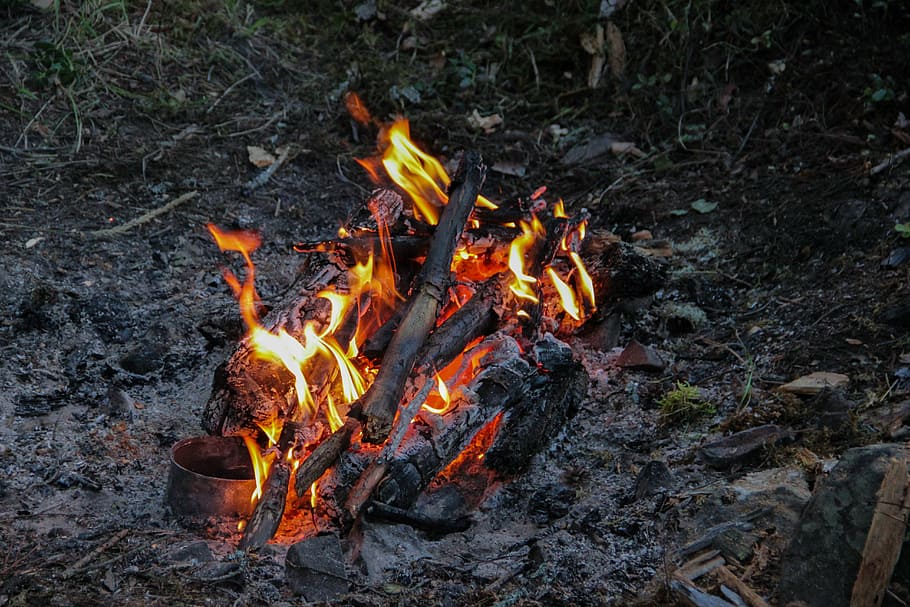 foc, calor, koster, flama, foc - fenomen natural, cremant, calor - temperatura, terra, naturalesa, vista d’angle alt, color taronja, cap gent, foguera, camp, a l'aire lliure, medi ambient, material de fusta, brillant, moviment, dia, registre, 5K