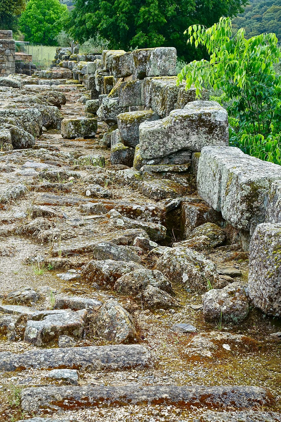 brune sten trin, Stenmur, blokke, gået i stykker, gammel, ruiner, arkæologi, gammel ruin, stenmateriale, berømte sted, historie, arkitektur, kulturer, fortiden, gamle civilisation, rejse, ødelagt, turisme, solid, plante, ingen mennesker, klippe, dag, natur, bygget struktur, rock-objekt, træ, sten - objekt, vækst, ro, væg, udendørs, 5K