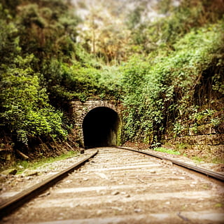 online, Zug, Tunnel, Pfad, Schienen, Berge, Wald, Natur, Baum, Bahngleis, Fußweg, draußen, keine Leute, Landschaft, grüne Farbe, Transport, Schienenverkehr, der Weg nach vorn, Brücke - künstliche Struktur, Spur, Richtung, Pflanze, abnehmende Perspektive, Tag, selektiver Fokus, Verbindung, die Architektur, Straße, Oberflächenniveau, lange, 1080P, CC0, gemeinfrei, lizenzfrei