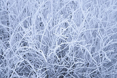frost, mønster, abstrakt, natur, frost-, tæt på, baggrunde, tekstureret, kold temperatur, fuld ramme, is, tekstureret effekt, vinter, hvid farve, ingen mennesker, Frosset, sne, ekstrem nærbillede, makro, grå, abstrakte baggrunde, overflade niveau, 1080P, CC0, offentligt domæne, royaltyfrie