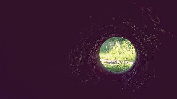 landscape, space, dark, tunnel, ball-shaped, grass, hole, plant, no people, tree, day, nature, outdoors, circle, geometric shape, shape, close-up, copy space, growth, land, tranquility, beauty in nature, window, scenics - nature, wet, 5K, CC0, public domain, royalty free