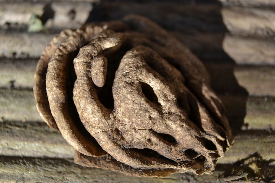 pietra, frutta, prugna, Marrone, avvicinamento, legno - materiale, vecchio, concentrarsi sulle conoscenze acquisite, nessuno, giorno, strutturato, natura morta, metallo, all'aperto, modello, natura, creatività, messa a fuoco selettiva, mestiere, cibo e bevande, cibo, intemperie, ruota, 4K