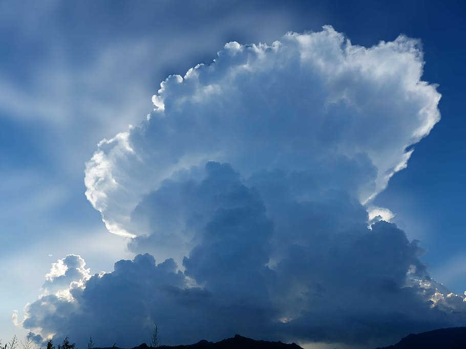 niedrig, Winkel Foto, Weiß, Wolken, Wolke, Riese, Himmel, Blau, Pilz, Natur, keine Person, wolke - himmel, Schönheit in der Natur, Szenen - Natur, Wolkengebilde, ruhige Szene, Ruhe, keine Leute, Hintergründe, idyllisch, Umgebung, weiße Farbe, Sonnenlicht, flauschige, Dramatischer Himmel, draußen, Wind, Meteorologie, Weichheit, 4K