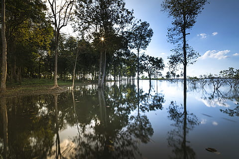 trees, beside, body, water, sunset, outdoor, tree, background, nice, natural, green, beauty, sky, full color, plant, travel, spring, season, scenery, outdoors, neck, single, the sun, reflect, impressive, the park, tropical, forest, scene, autumn, scenic, wave, the morning, alone, sunrise, sad, reflection, lake, beauty in nature, tranquility, scenics - nature, tranquil scene, nature, no people, non-urban scene, idyllic, growth, day, cloud - sky, reflection lake, 8K, CC0, public domain, royalty free