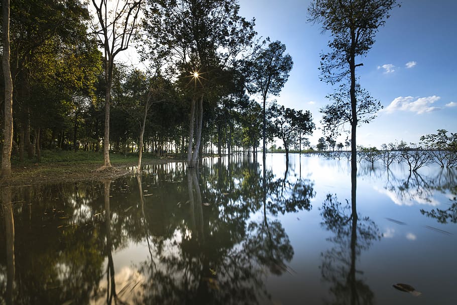 trees, beside, body, water, sunset, outdoor, tree, background, nice, natural, green, beauty, sky, full color, plant, travel, spring, season, scenery, outdoors, neck, single, the sun, reflect, impressive, the park, tropical, forest, scene, autumn, scenic, wave, the morning, alone, sunrise, sad, reflection, lake, beauty in nature, tranquility, scenics - nature, tranquil scene, nature, no people, non-urban scene, idyllic, growth, day, cloud - sky, reflection lake, 8K