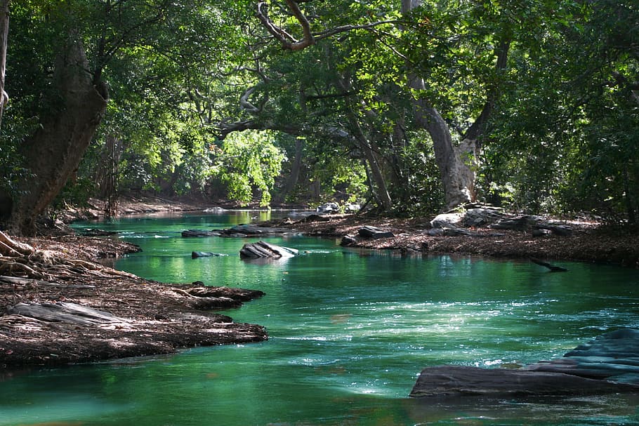cos, aigua, verd, arbres de fulles, bonic, la llum del dia, medi ambient, flux, que flueix, llac, paisatge, naturalesa, a l'aire lliure, parc, reflexió, riu, roques, escènic, viatjar, arbres, tropical, vacances, fusta, arbre, planta, bellesa a la natura, bosc, tranquil·litat, creixement, terra, escenics - natura, color verd, escena tranquil·la, escena no urbana, dia, idíl·lic, davant del mar, cap gent, aigua que flueix, 2K