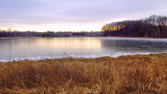 zimní, západ slunce, krajina, les, park, slunečního světla, leden, scénický, Michigan, voda, klidné scény, jezero, rostlina, scenics - příroda, klid, nebe, Příroda, tráva, nikdo, mrak - nebe, strom, krása v přírodě, mimoměstské scény, přistát, odraz, venku, 4K, CC0, veřejná doména, bez autorských práv